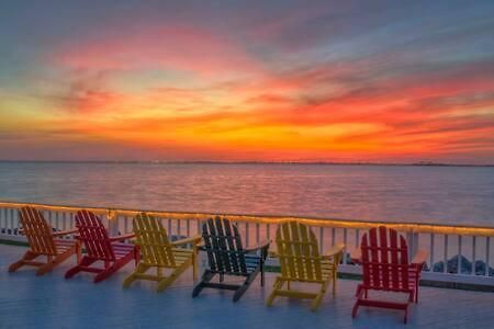 The Hemingway Subtropical Luxury On The Tampa Bay Villa Eksteriør billede